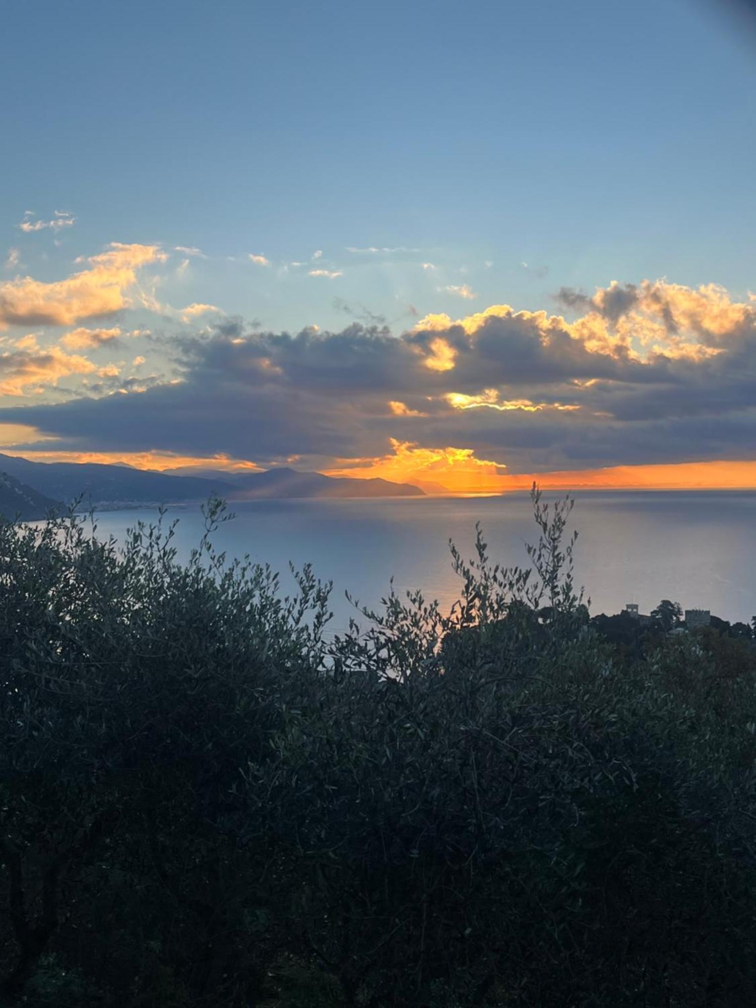 La Conchiglia Bed & Breakfast Camogli Εξωτερικό φωτογραφία