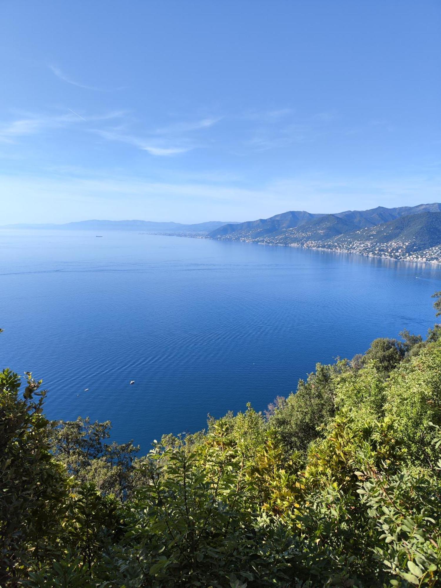 La Conchiglia Bed & Breakfast Camogli Εξωτερικό φωτογραφία