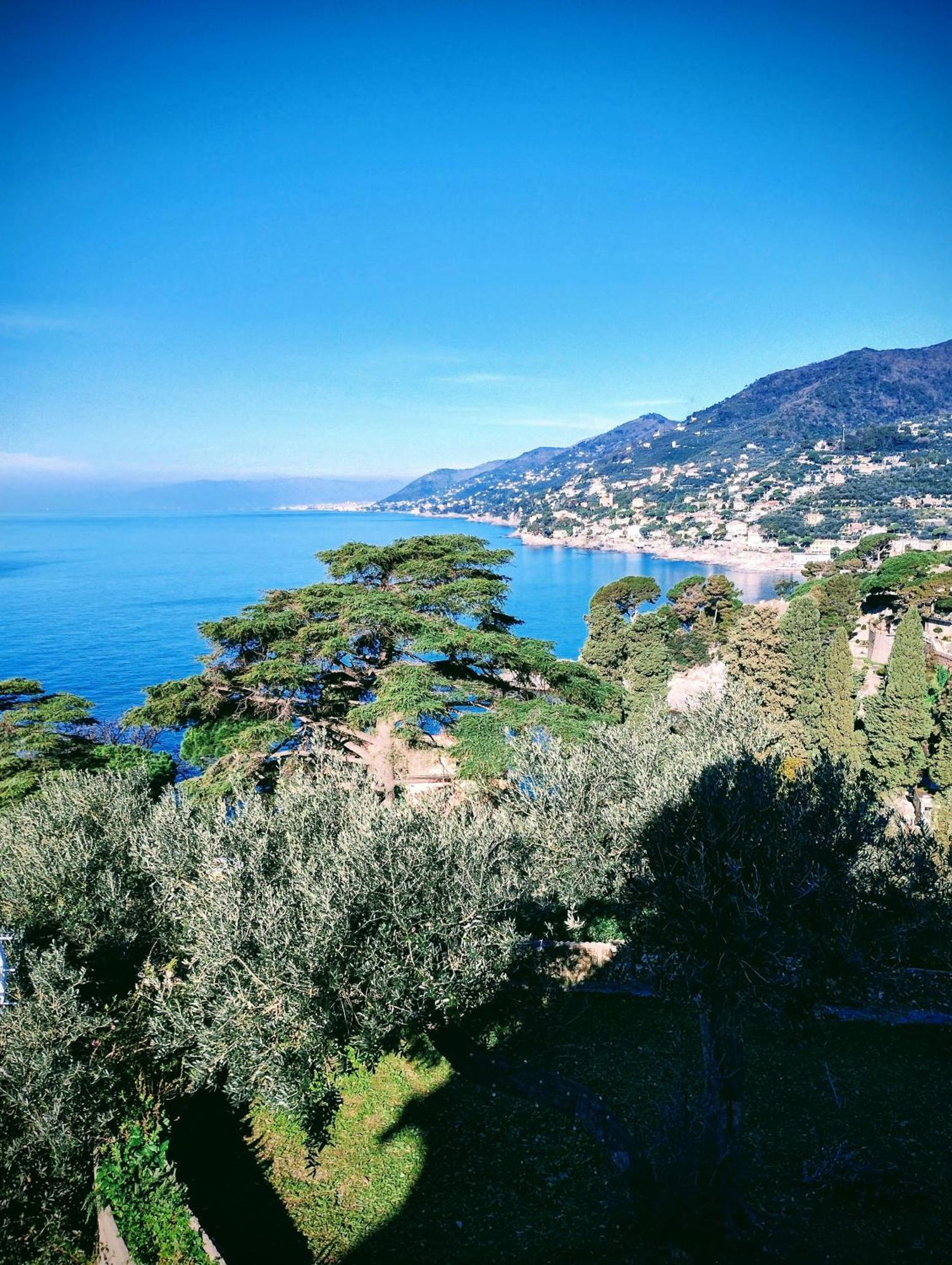 La Conchiglia Bed & Breakfast Camogli Εξωτερικό φωτογραφία