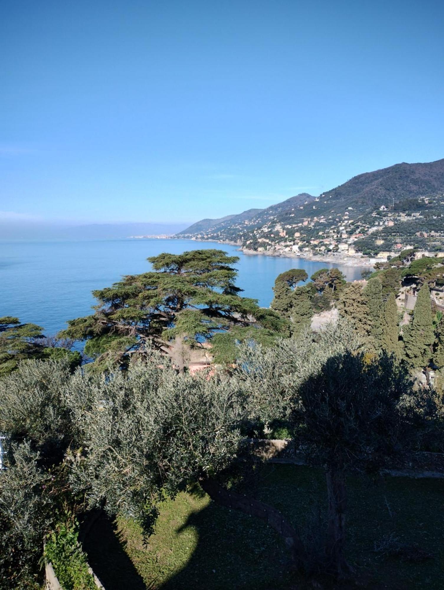 La Conchiglia Bed & Breakfast Camogli Εξωτερικό φωτογραφία